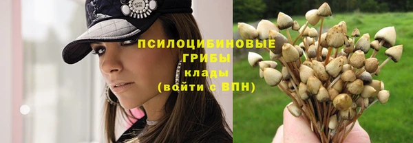 прущая мука Алзамай