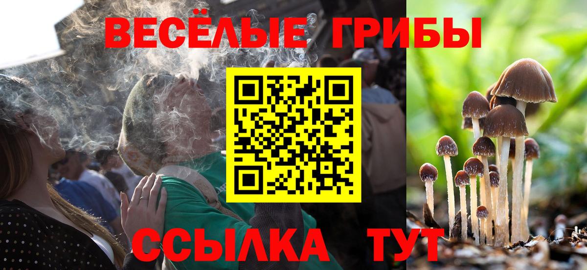 Арзамас  Псилоцибиновые грибы мухоморы  Вход с VPN 